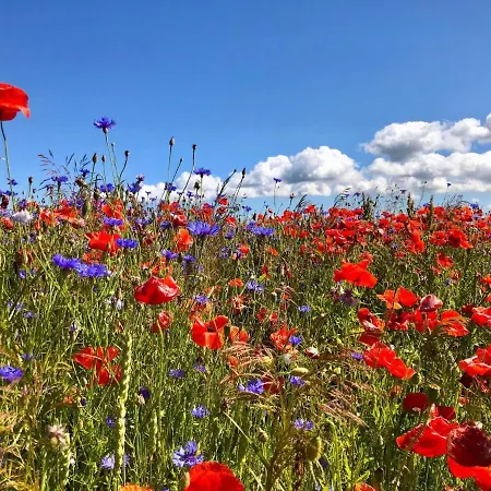 Hébergement de vacances Strandhaus Fuenfzehn